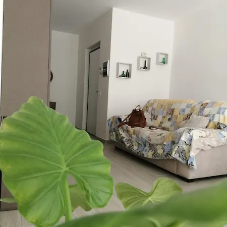Petit Lejlighed Vairano Scalo